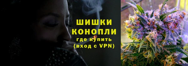 стаф Беломорск