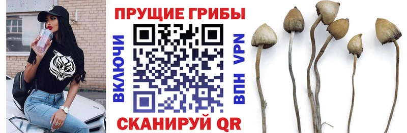 цены наркотик  ОМГ ОМГ ONION  Галлюциногенные грибы ЛСД  Качканар 